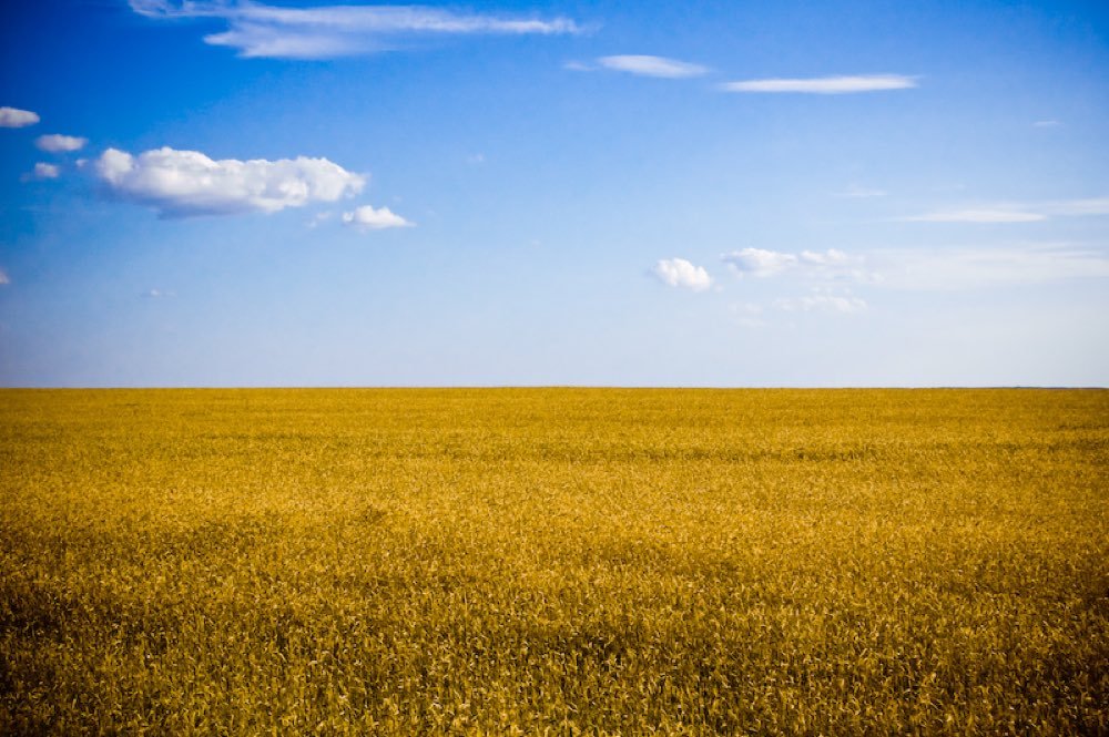 Crédito Rural